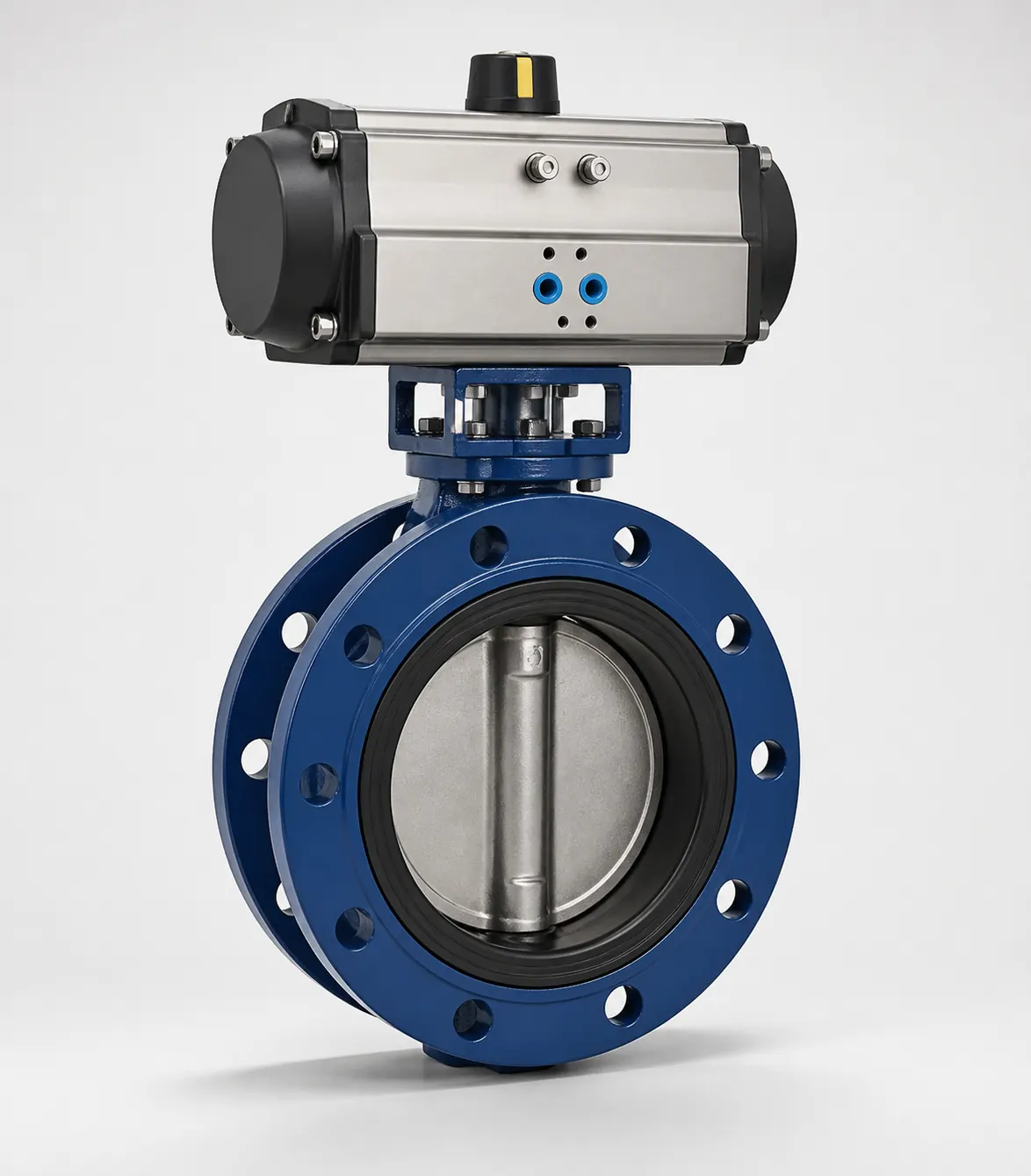 Butterfly Valve full equipment view