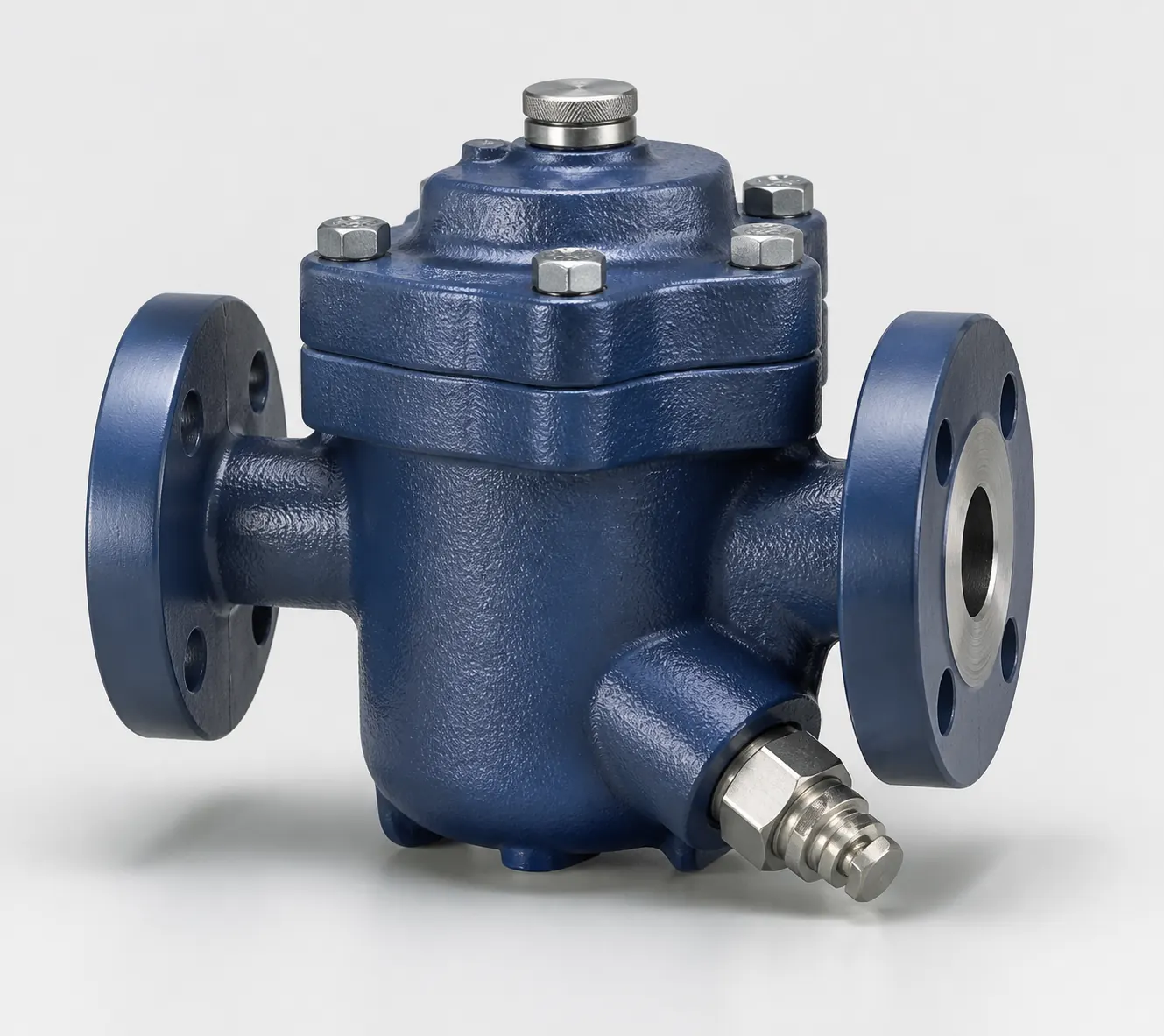 Steam Trap full equipment view